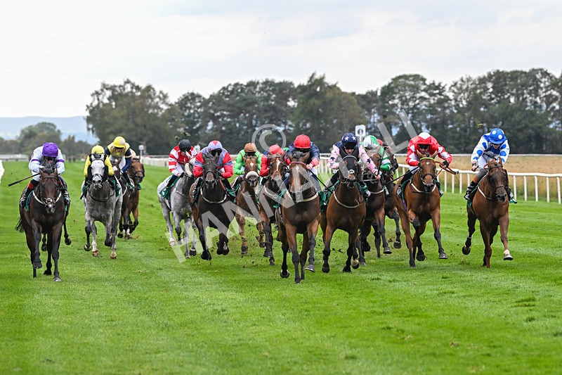 060925-Race 5-Eternal Sunshine-5854 - Race 5