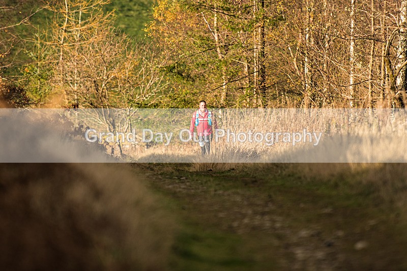 Tweed Valley-840 - High Terrain Events Tweed Valley 50 & 65K Ultra Trail Races Sunday 16th November 2025