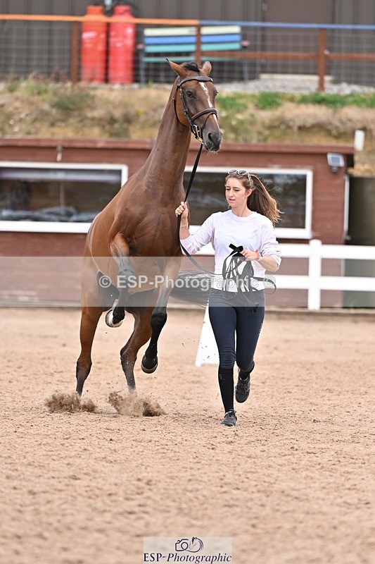 250716-141819-01002 - Trot Up 1.30 to 2.30