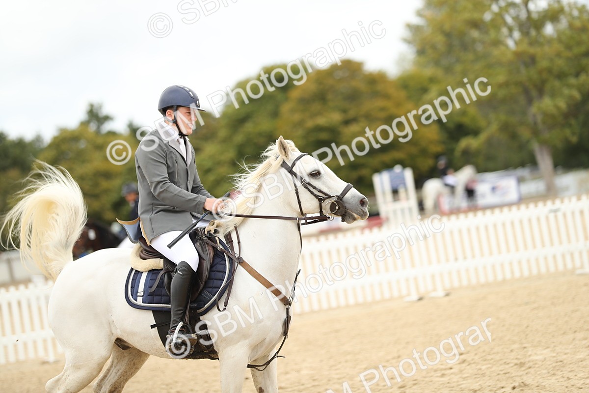 SBM_65817 - J48 - Pairs Jumping Open 70cm & 85cm