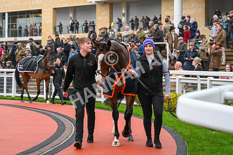 131224-Race 3-Mirabad-9391 - Race 3