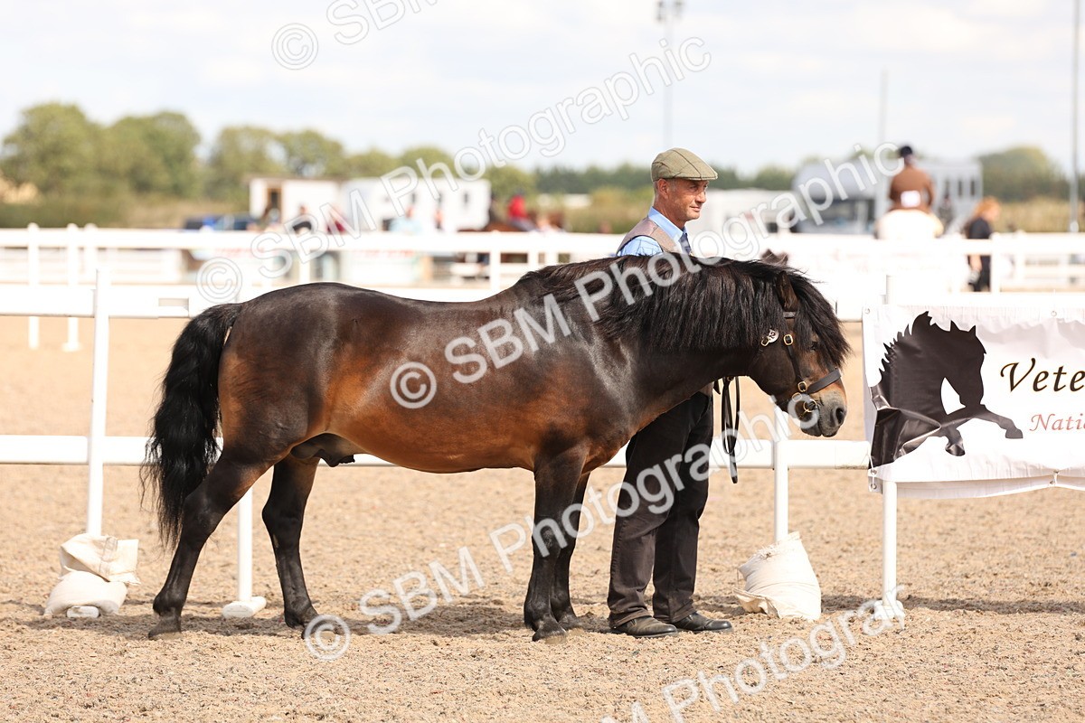 SBM_15036 - Class 209 - IH Veteran Pony