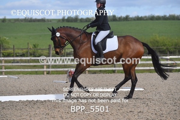 BPP_5501 - 31 R SHERRY
