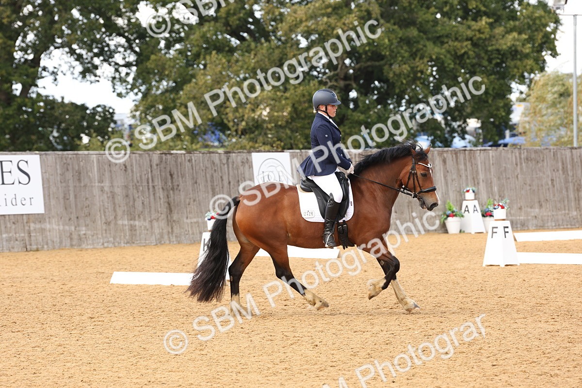 SBM_47452 - D12 - Small Tour Championship prelim 2