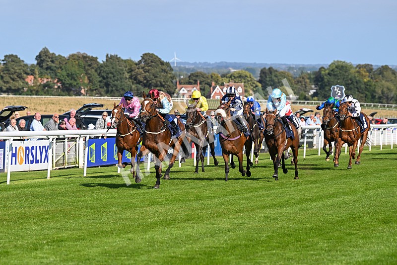 180924-Race 4-Surprised-4461 - Race 4