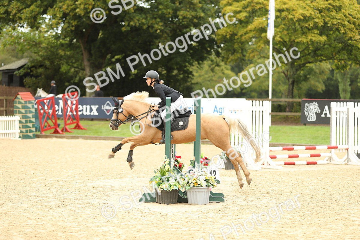 SBM_34245 - J60 Clear Round 50cm