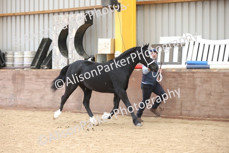 20251109-0908 - Class 26 - 2 and 4 Year Olds