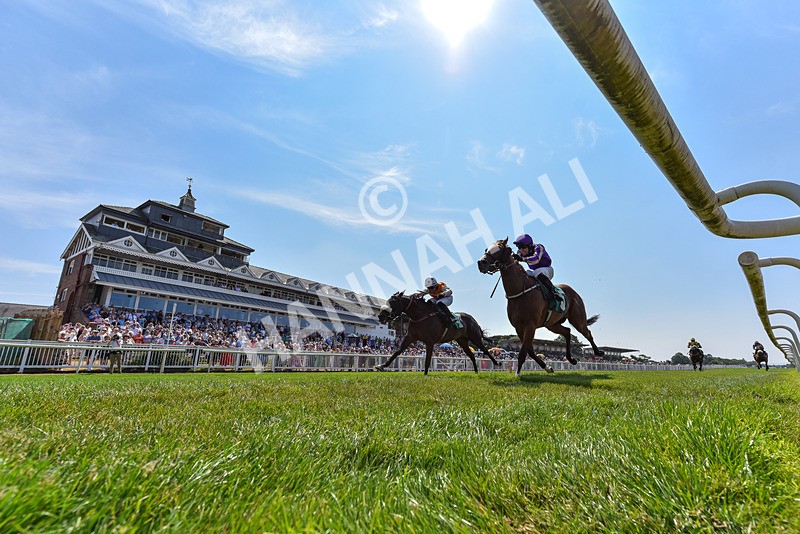 160726-Race 2-Hatamoto-3342 - Race 2 14.28pm By Chen Presidential Apprentice Handicap