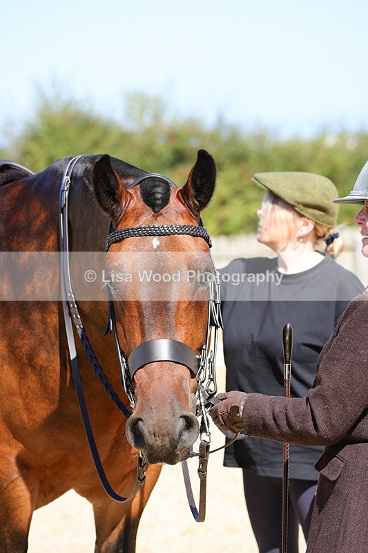 1X9A8067 - Class 11: Open Cob