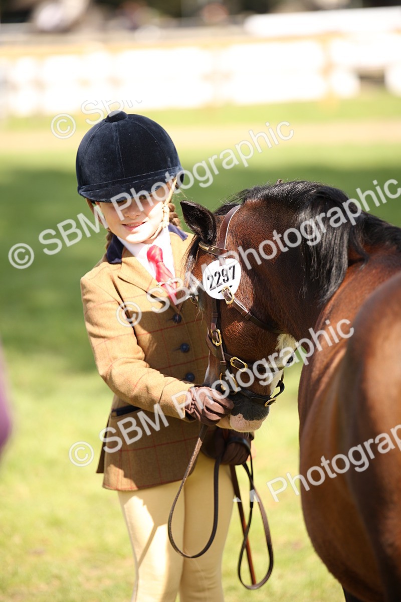 SBM_44435 - S24 - Young Veteran in hand