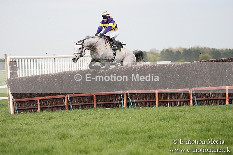 PtP 210418 284 - South & West Wilts Point-to-Point Larkhill 21/04/18
