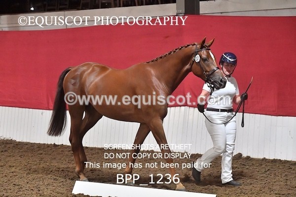 BPP_1236 - MORNING 9AM - 12PM