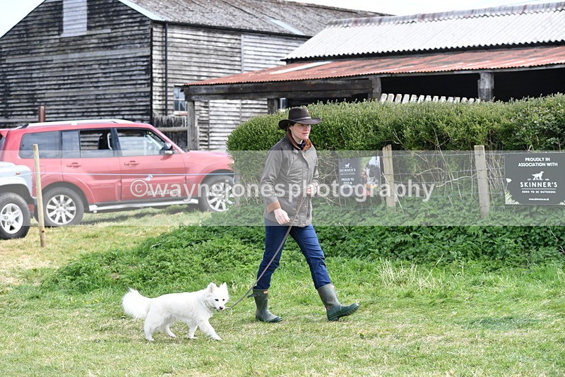 WJ5_0748 - Best in Show Championship