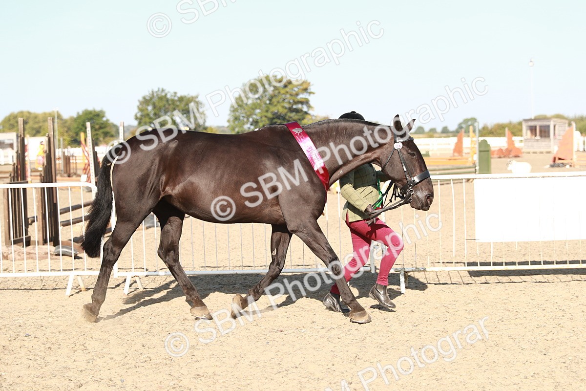 SBM_00179 - Class 40 Best Turned Out IH