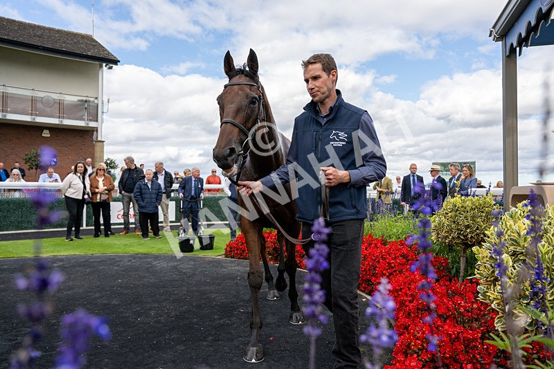 160926-Race 1-Austrian Theory-3946 - Race 1 2.08pm Season Finale Is Next Tuesday Selling Handicap
