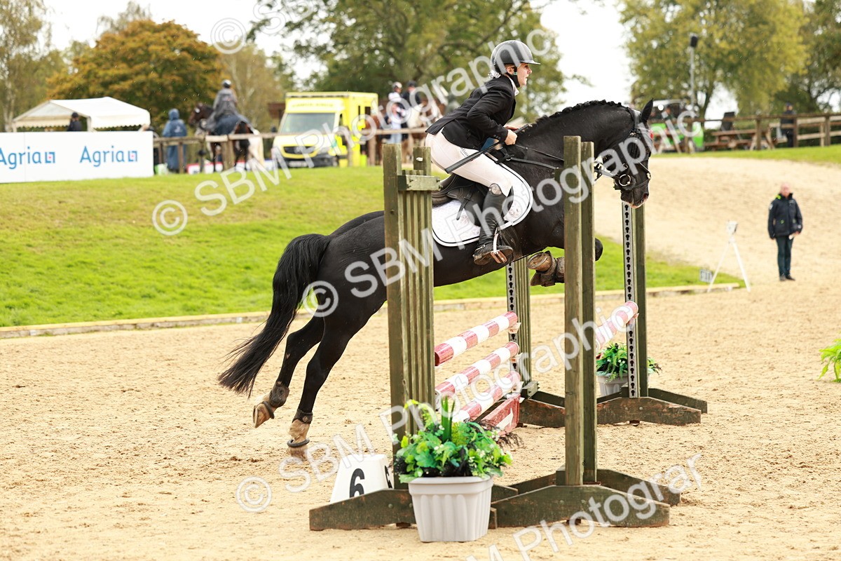 SBM_38426 - Supreme Championship 80cm 85cm