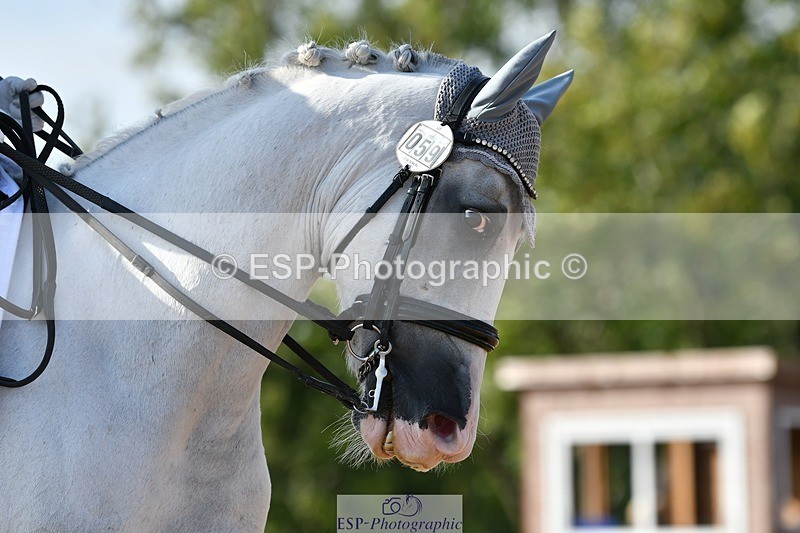 250906-164202-05211 - 059-Hannah.MacMillanBrookeborough.Lad