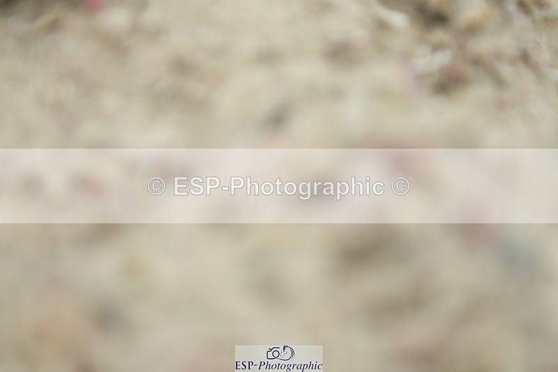 230630A-113033-01633 - Cls 7 Elementary 45