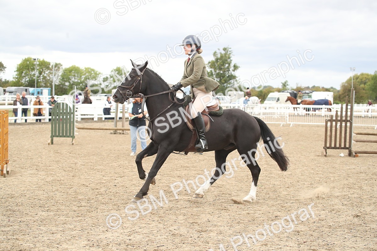 SBM_18301 - Class 509a - Working Veteran - 80cm (15-19)