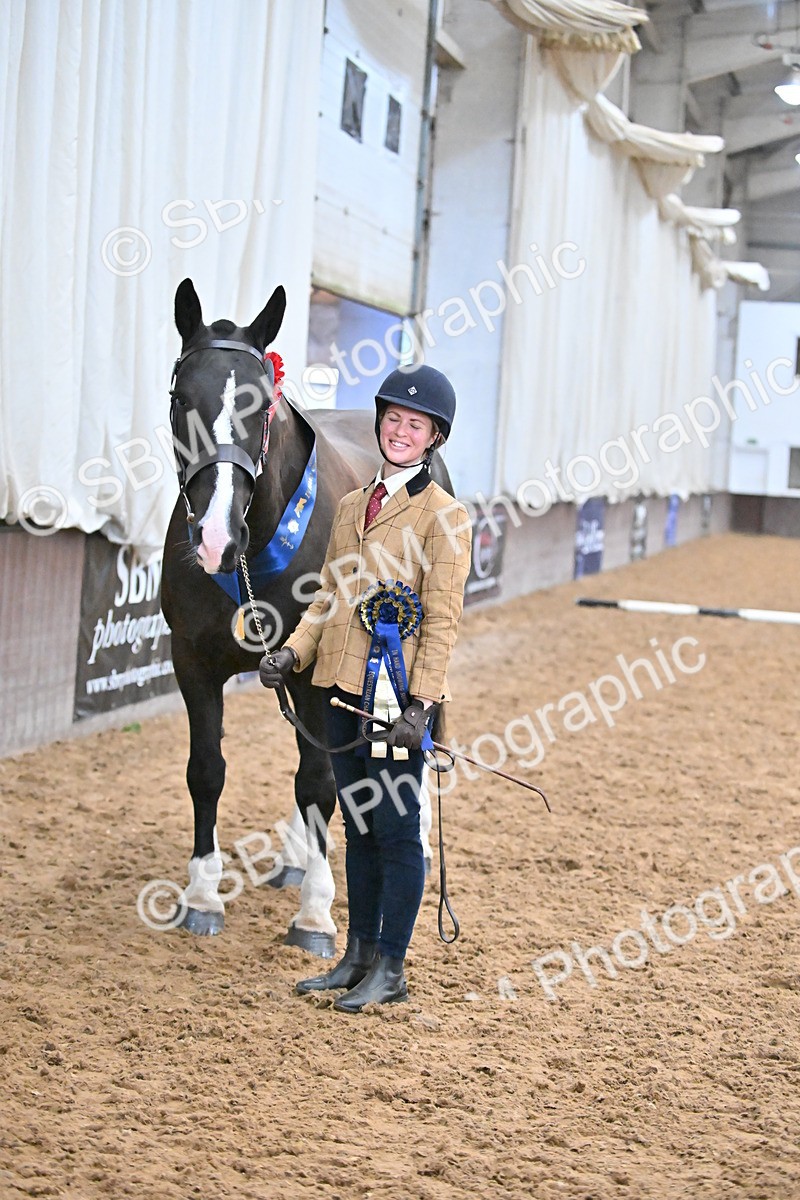 SBM_000795 - Class 16 - In Hand Showing Supreme Championships