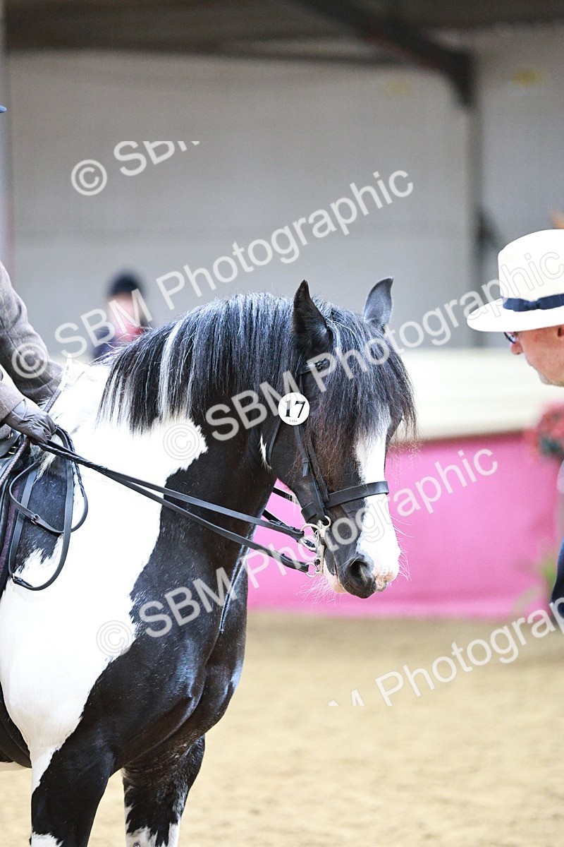 SBM_03648 - Class 6A Area Ridden Pre-Vet
