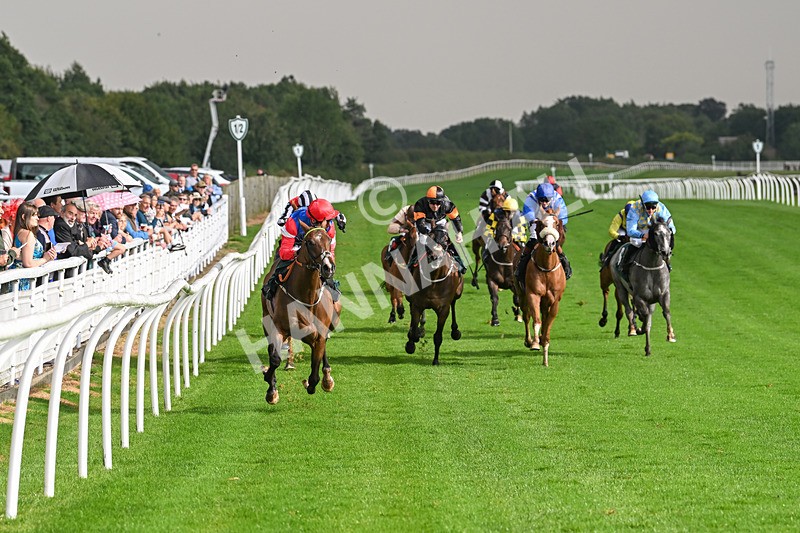 280824-Race 4-Desert Dream-4375 - Race 4