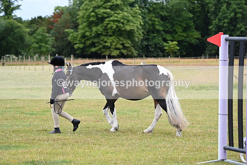 WJ6_8753 - Class 10 Coloured in-hand