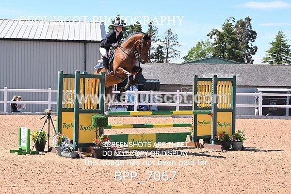 BPP_7067 - CLASS 14 FRI Nupafeeds Senior Dicovery/1m open