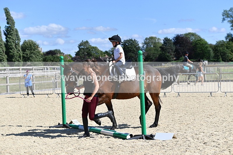 WJ5_5199 - Poles on the Floor