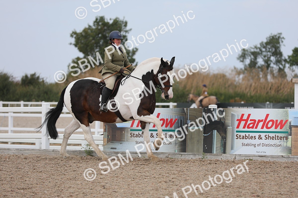 SBM_16874 - Class 314 Family Horse/Pony