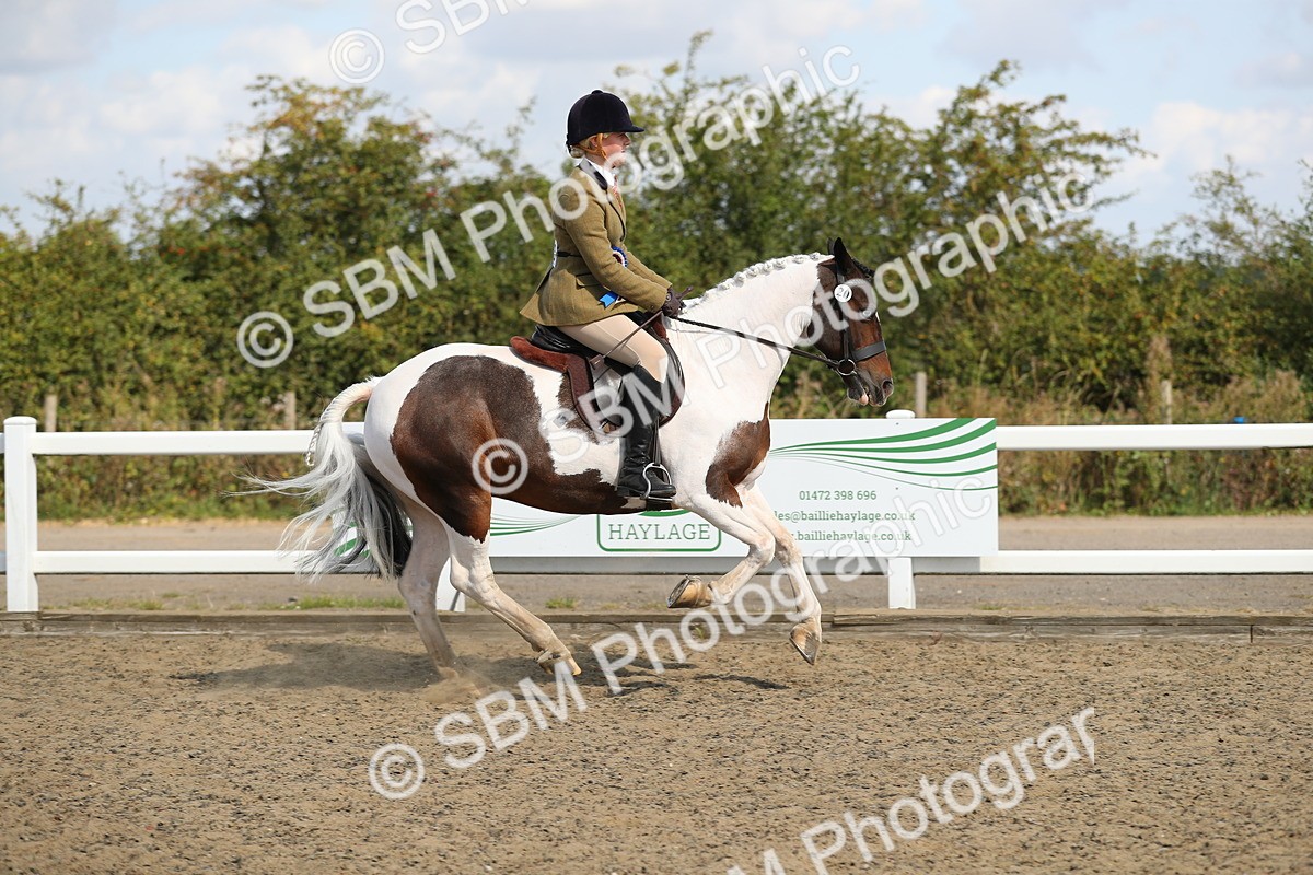 SBM_03307 - Class 44 Riding Club Horse/ Pony