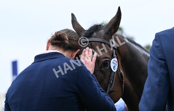 230825-158 Ethical Diamond - Race 4 3.35pm Sky Bet Ebor Handicap
