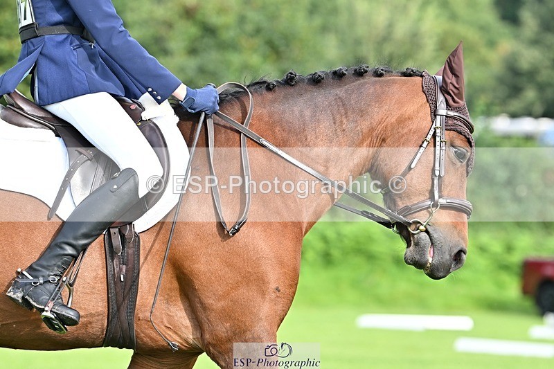 230826-091144-15969 - Sections A & B - 9 to 10am