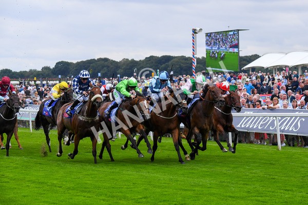 230823-Race 1-Equilateral-0246 - Race 1 1.50pm Sky Bet And Symphony Group Handicap