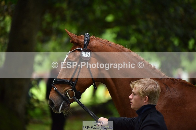 240522-163824-01054 - 215-RAMIRO_WANNABE-Finn_Healy