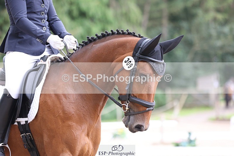 230813-114703-06941 - Cls 11 Elem Bronze 11.10 to 12.20 break