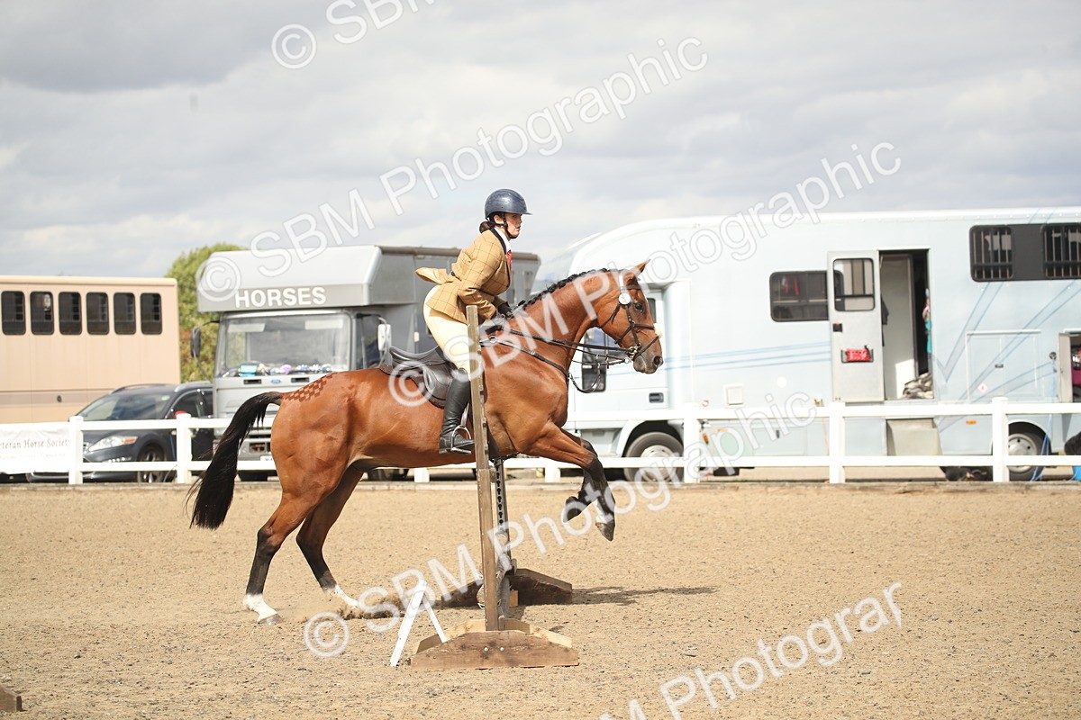 SBM_15313 - Class 506b - Working Veteran - 50cm (20+)