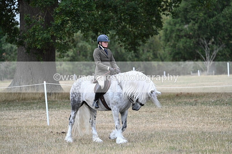 WJ7_4745 - Class 12 Ridden Cob