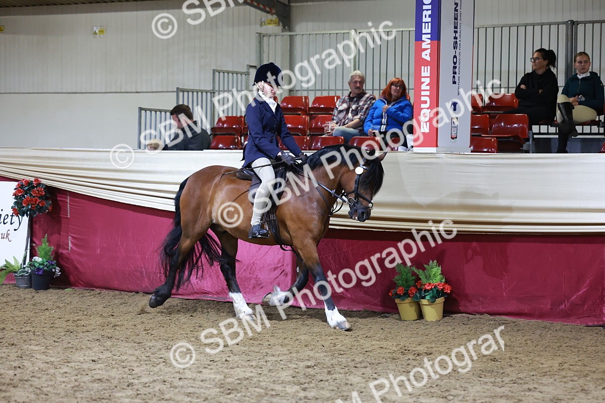 SBM_21352 - Class T - Working Veteran Champs