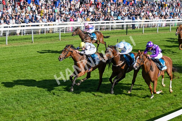 160525-Race 7-Delicacy-7443 - Race 7 5.30pm Yorkshire Equine Practice Handicap