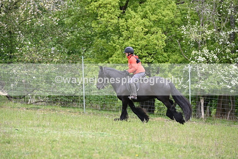 WJ6_1652 - Group 5 A&B Cameras