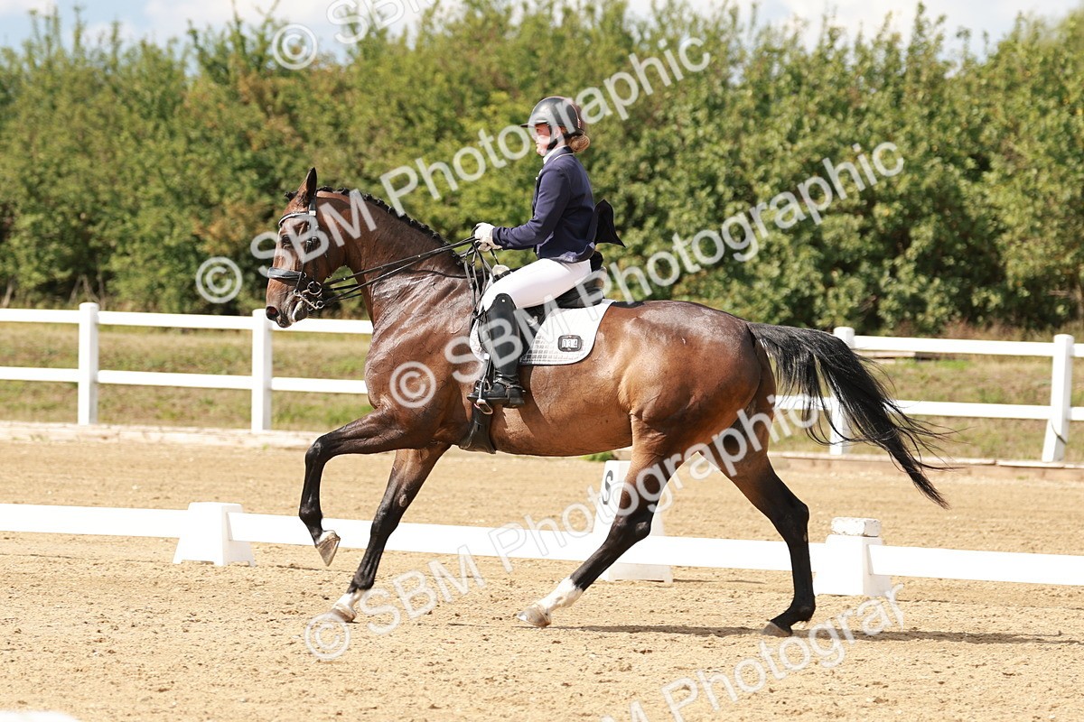 SBM_002432 - Class 11 - Medium 6