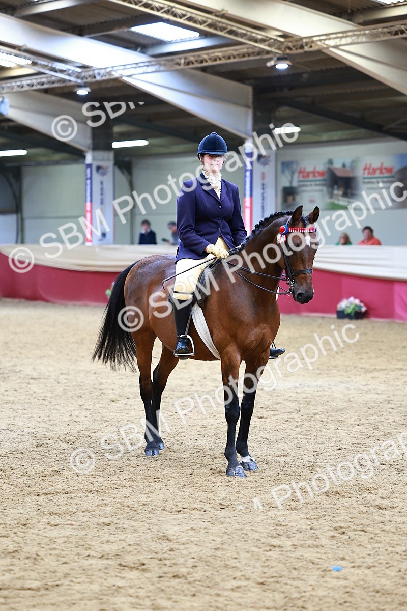 SBM_23747 - Class 905 - Supreme Final - Ridden Veteran