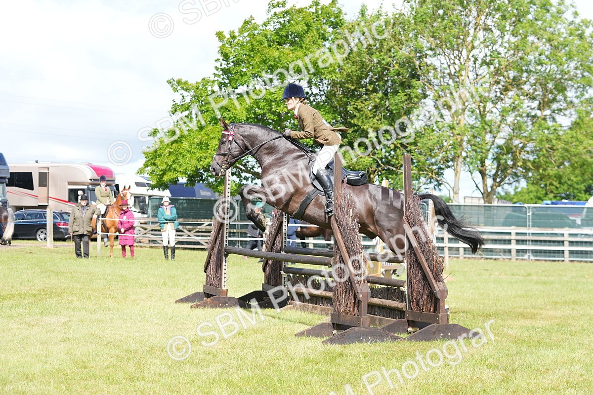 SBM_12887 - Class 99 - RIHS SEIB Working Show Horse