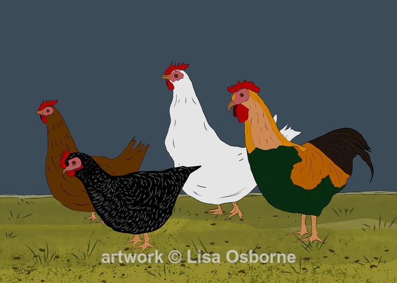 Chickens - DIGITAL ARTWORK