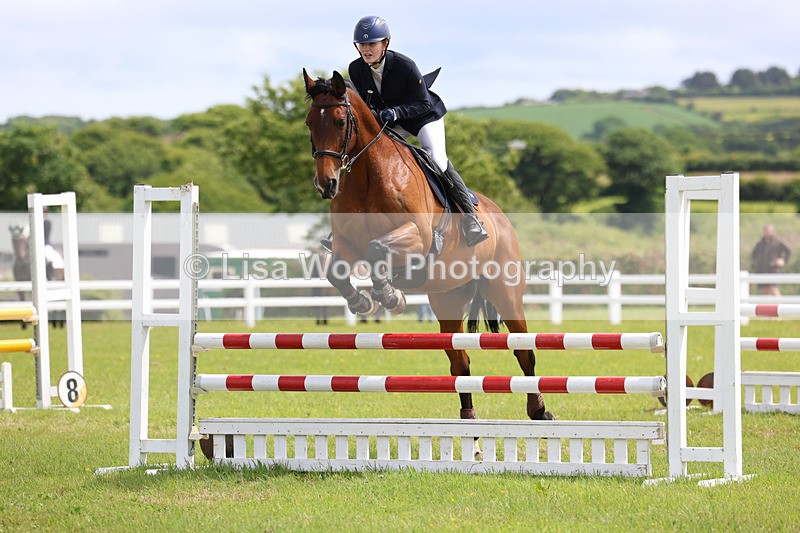 3E7A7525 - Class 13: Senior British Novice/90cm open