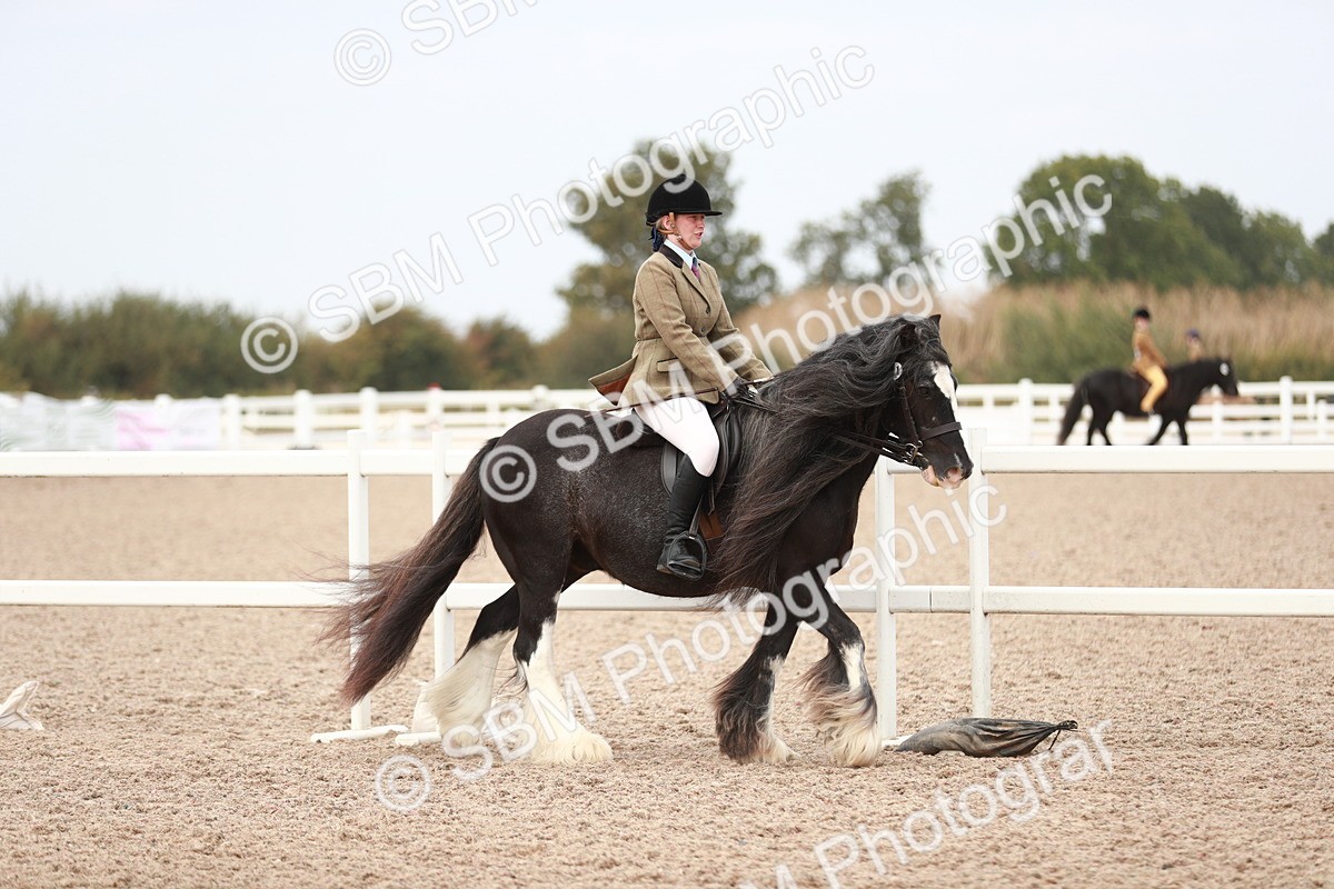 SBM_16575 - Class 214 Ridden Cob