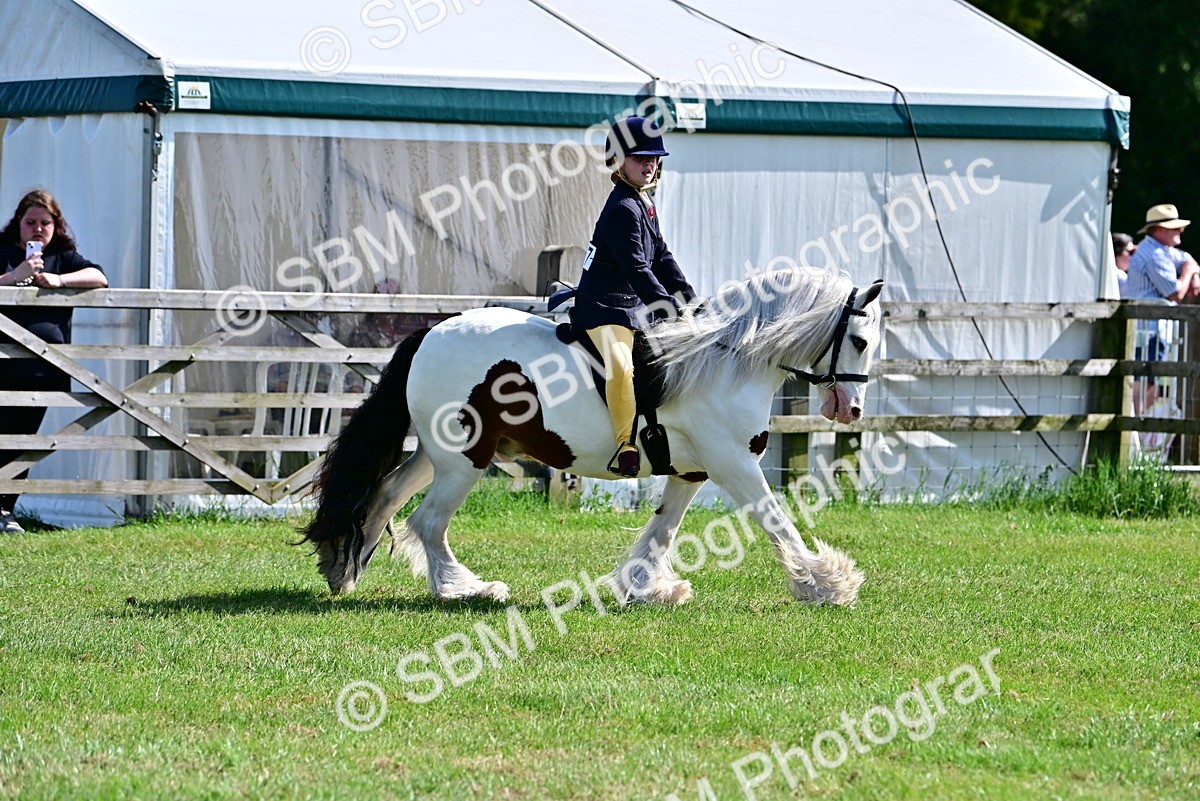 SBM_09316 - Class 63-65 - Traditional Gypsy Cobs In Hand & Ridden