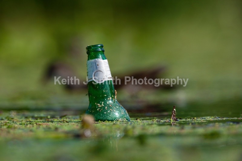 YR6M1230 - United Kindom