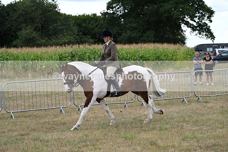 WJ7_5094 - Class 12 Ridden Cob